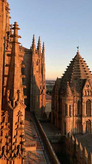 Salamanca desde sus torres