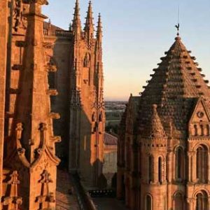 Salamanca desde sus torres